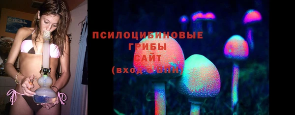 хмурый Белоозёрский