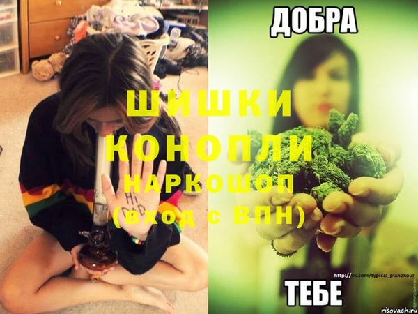 ECSTASY Белокуриха
