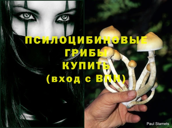 бутират Бронницы