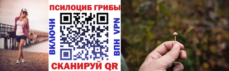 цены наркотик  Вичуга  Галлюциногенные грибы GOLDEN TEACHER 